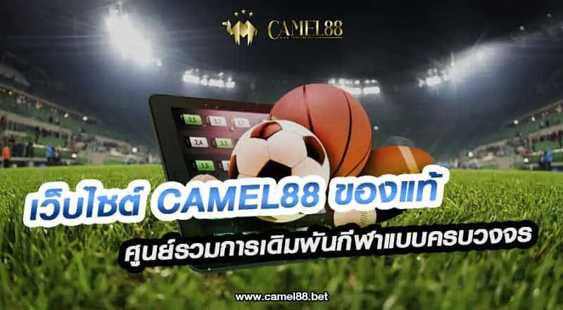 เว็บไซต์ Camel88 ของแท้